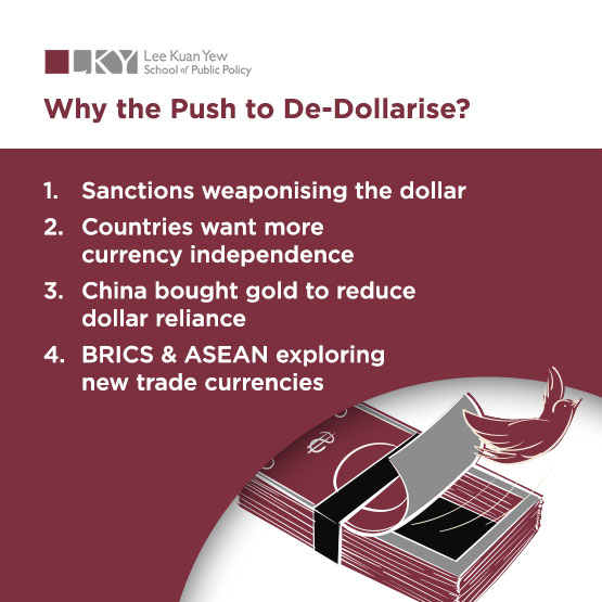 Why the Push to De Dollarise | NUS-LKYSPP