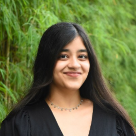 Inquiry, Judgement, and the Human Role in Research and Policymaking