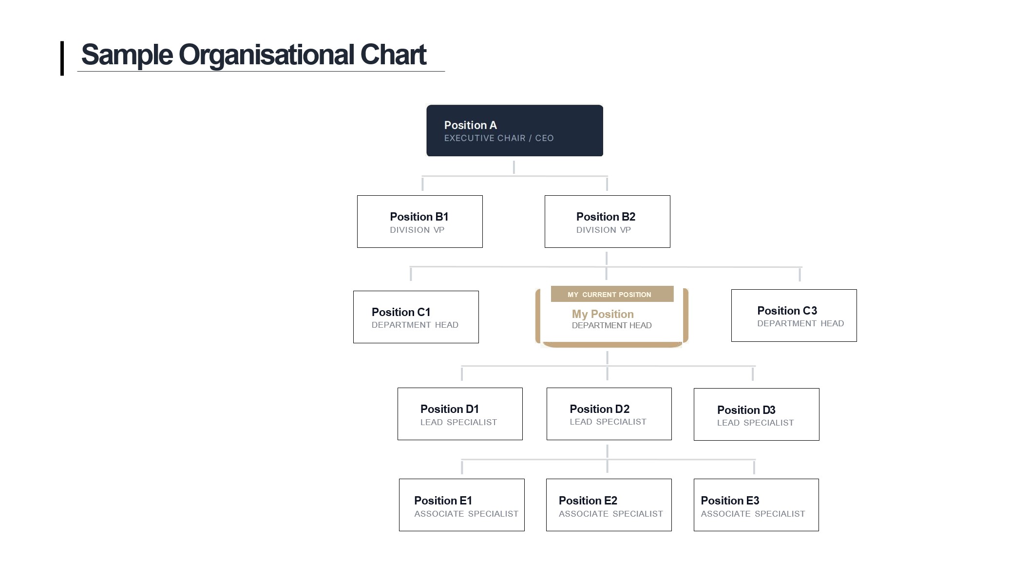 organisational chart new