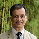 Prof. Vinod Thomas