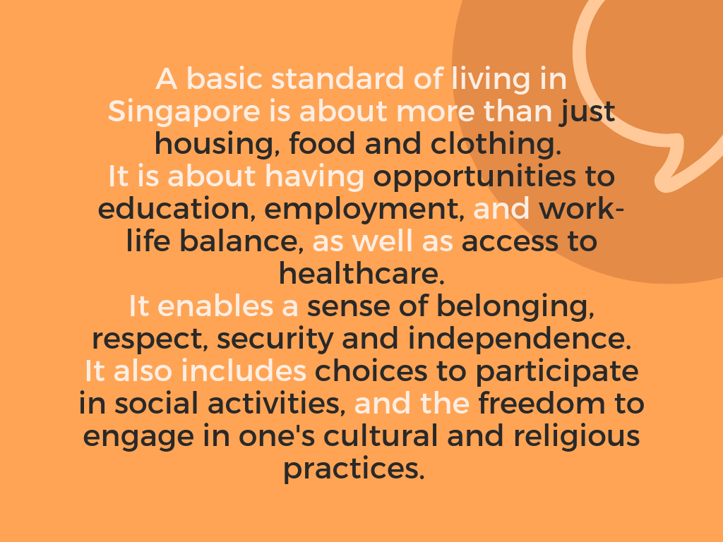 A basic standard of living in Singapore