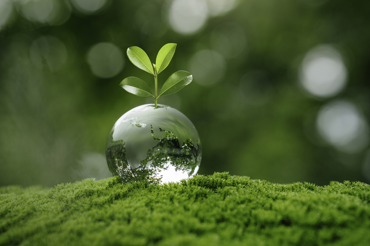 Economists miss the point on the price of water