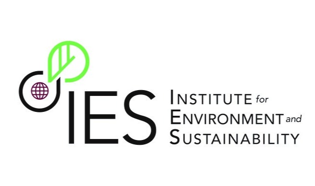 Deforestation-Induced Emissions From Mining Energy Transition Minerals