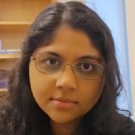Dr Rajeshwari Majumdar
