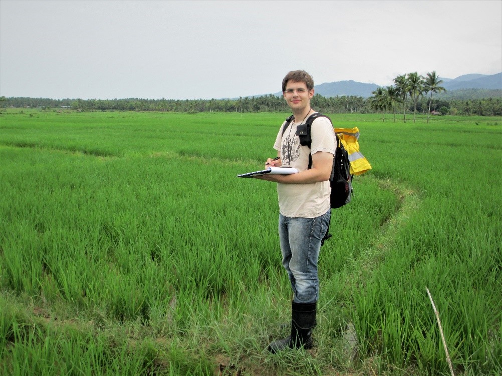 Roman in rice field Roman in rice field