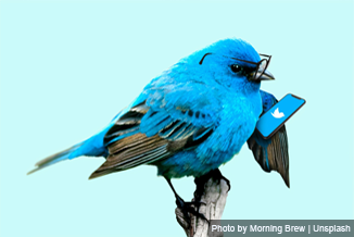 P3_Tweeting Singapores General Election_150720