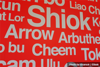 P8_Language Proficiency Identity & Management Results from the IPS Survey on Language Race & Religion_150720