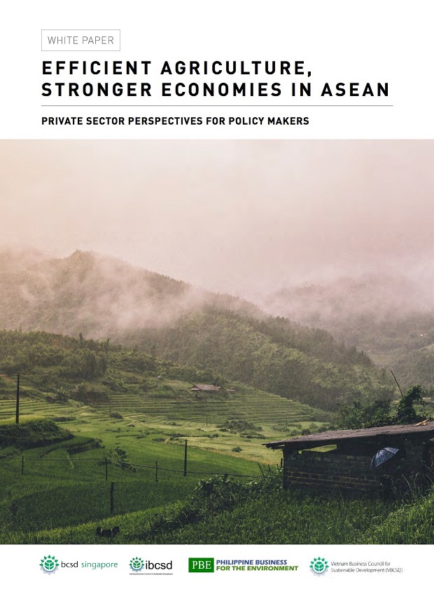 My experience as an intern at the Business Council for Sustainable Development Singapore