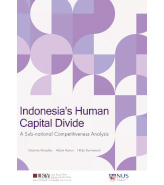 Indonesia’s Human Capital Divide : A Sub-national Competitiveness Analysis