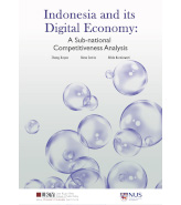 Indonesia and its Digital Economy: A Sub-national Competitiveness Analysis